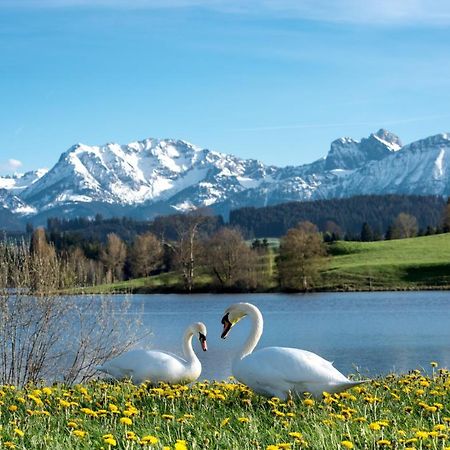 Direkt Am See Mit Bergblick Seeg Kültér fotó