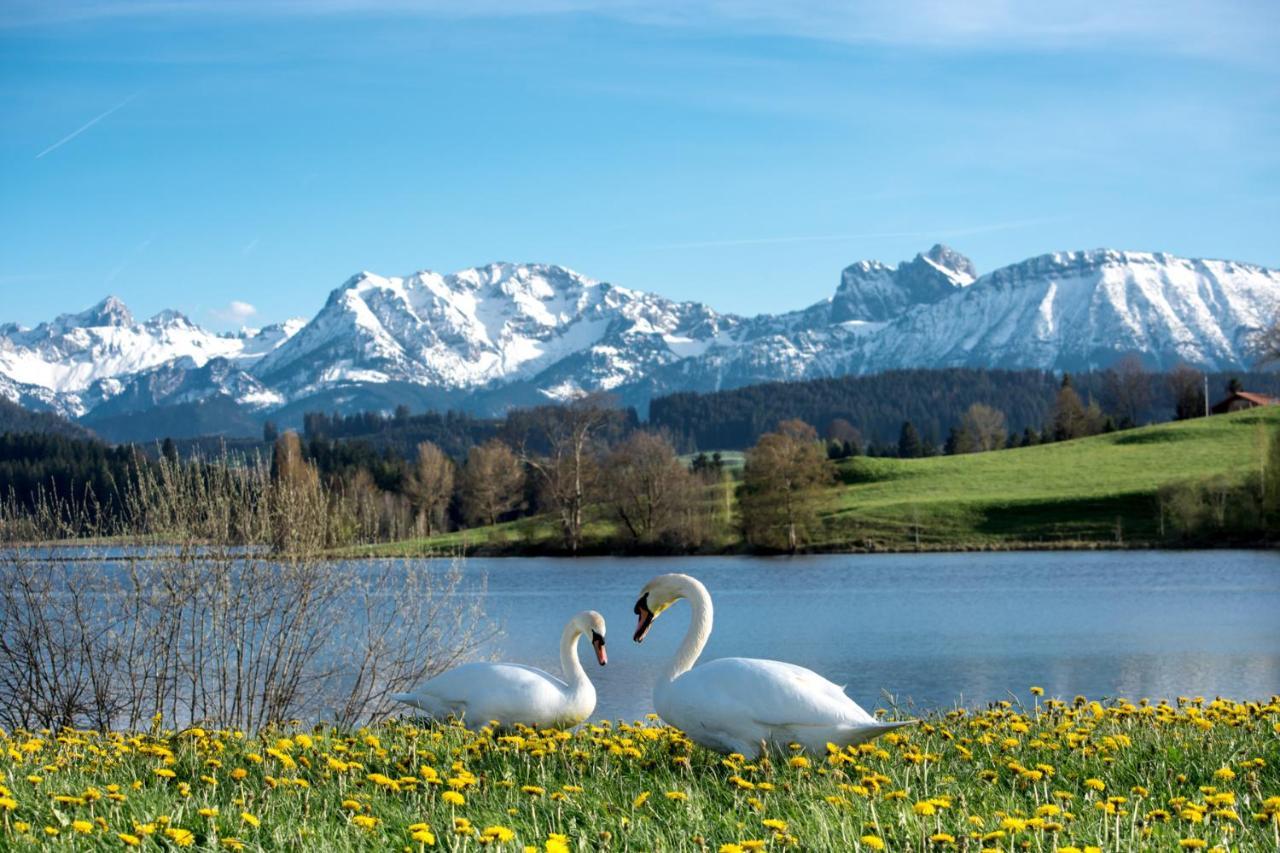 Direkt Am See Mit Bergblick Seeg Kültér fotó